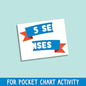 Five Senses Sorting Set for Preschool, Pre-k, and Kindergarten ...