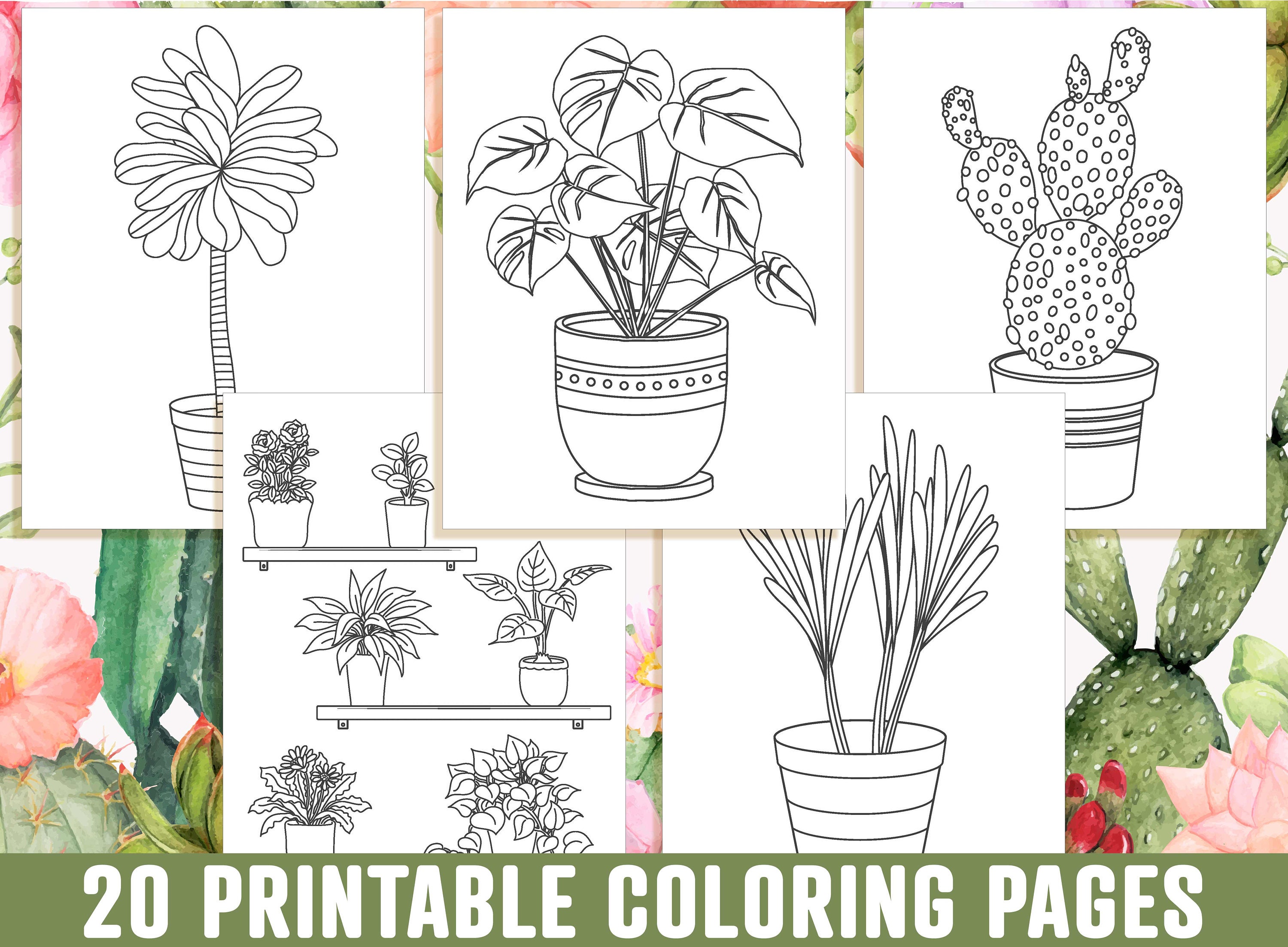 houseplant coloring pages 20 printable adorable succulent etsy