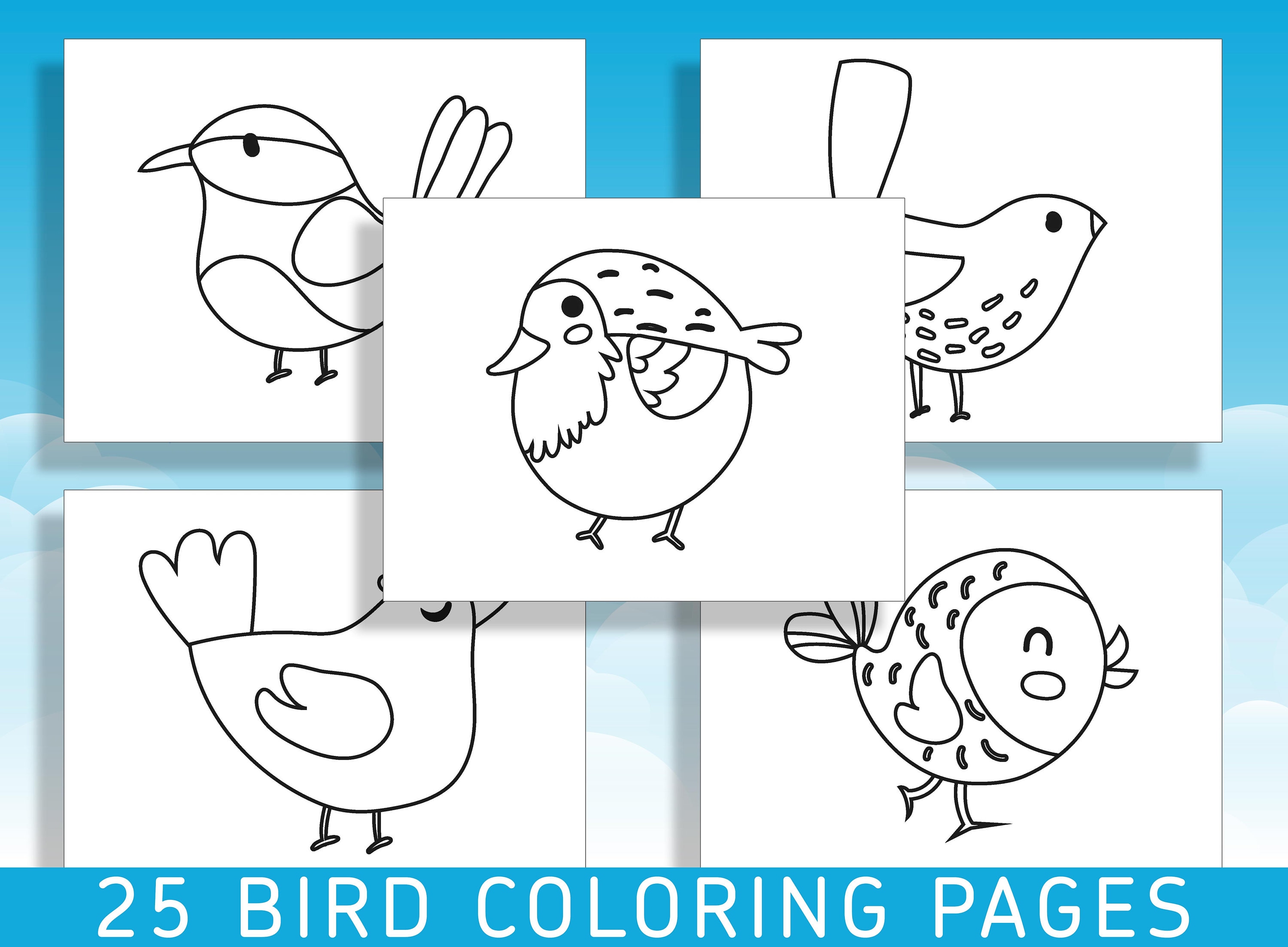 Fun and Easy Bird Coloring Pages for Kindergarten and Preschool: 25 ...