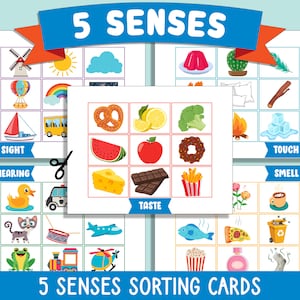 Ensemble de tri Five Senses pour la maternelle, la maternelle et la maternelle : comprend des cartes, un tapis, un tableau de poche, un fichier PDF et un téléchargement instantané