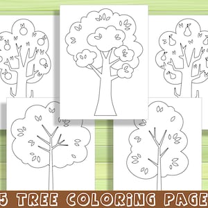 25 Beautiful Tree Coloring Pages for Preschool and Kindergarten, PDF ...