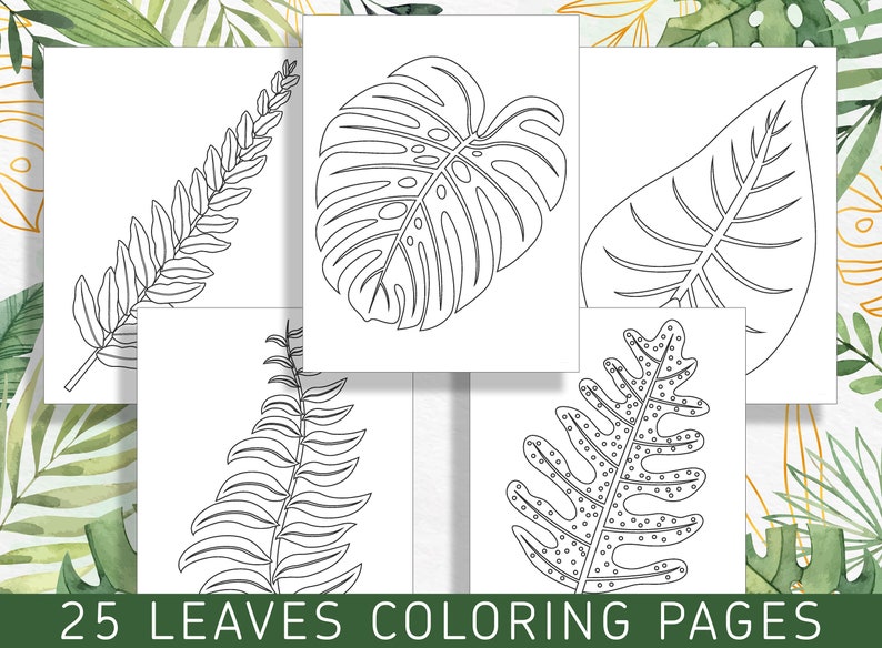 Leaf Color Book Leaf Coloring Pages: 25 Exquisite Coloring Book Designs for Stress ...