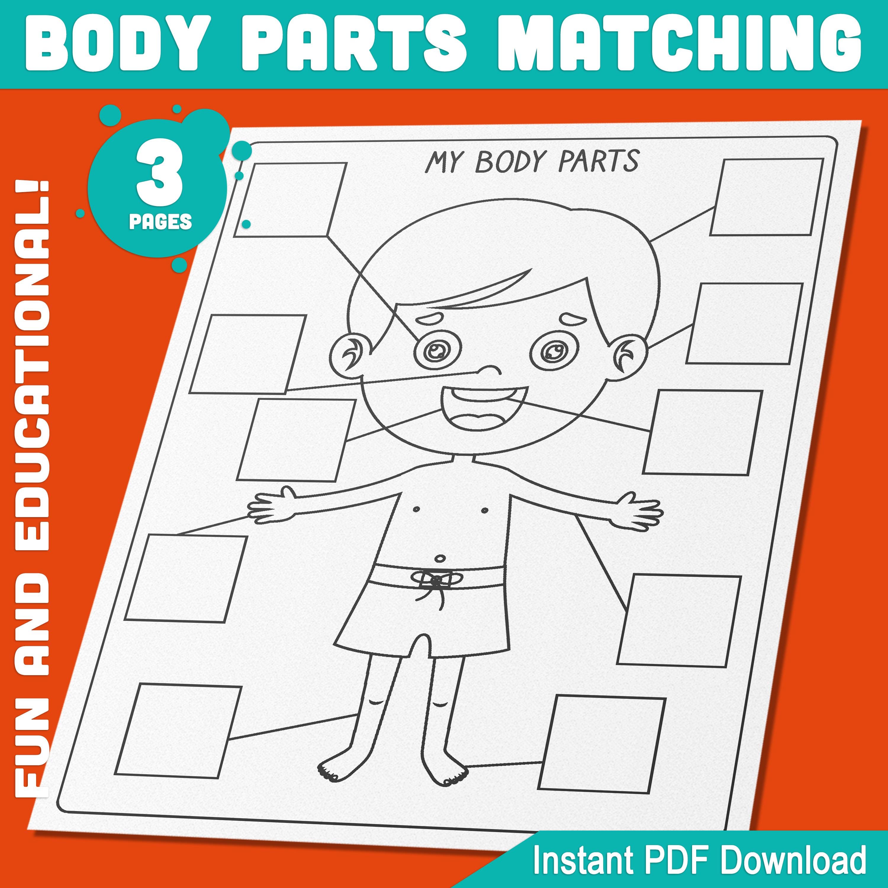 Body Parts Matching Activity for Preschool, Pre-k: Fun Color, Cut ...