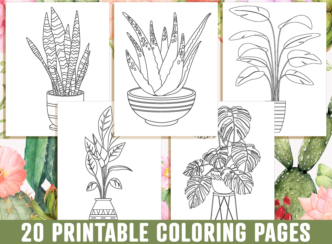 Houseplant Coloring Pages 20 Printable Adorable Succulent | Etsy