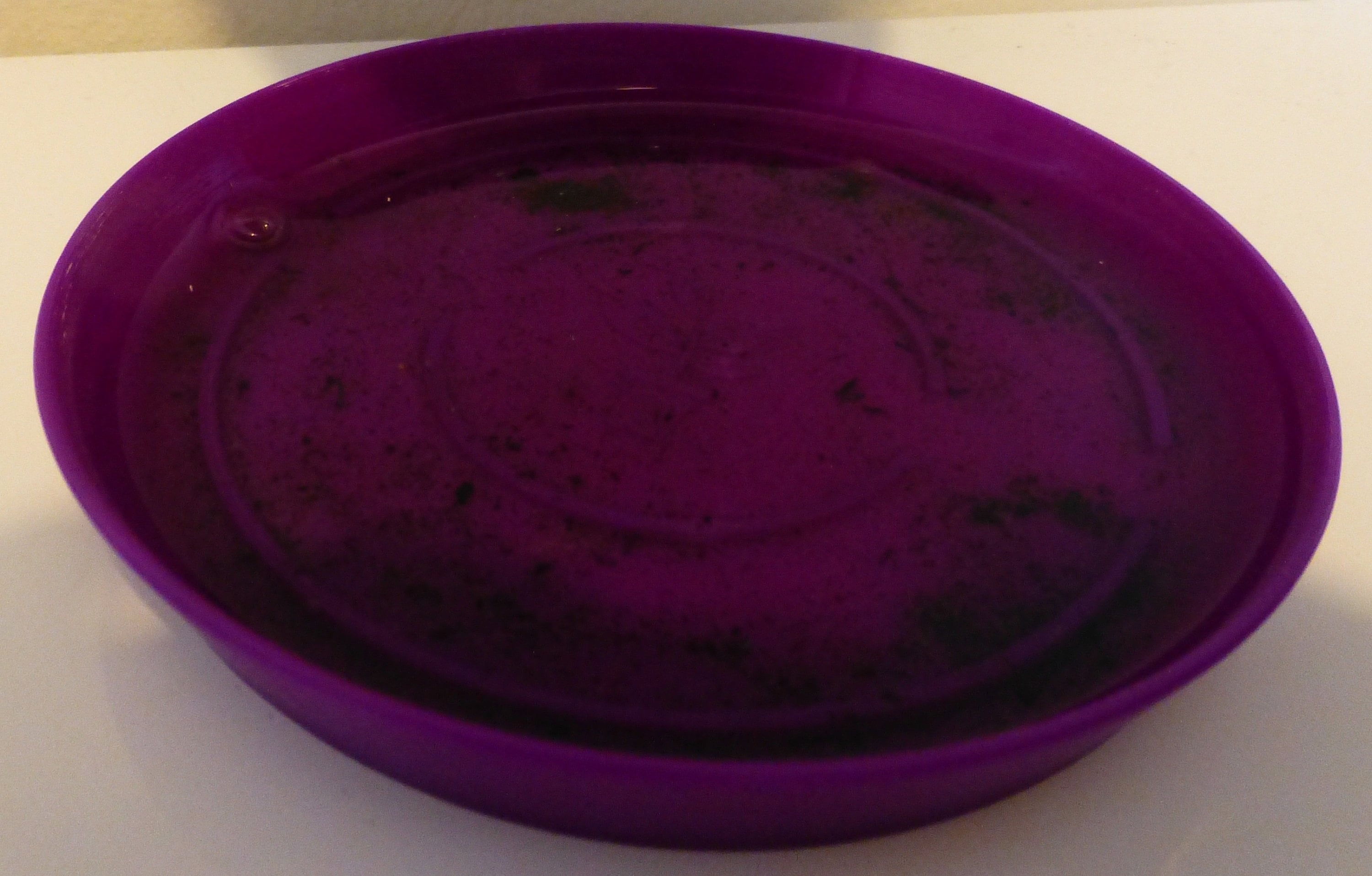 Plant Pot Saucers 7.3cm White Etsy Polska