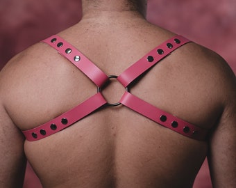 Può includere: Un'imbracatura in pelle rosa con dettagli in metallo argentato e un anello circolare al centro.