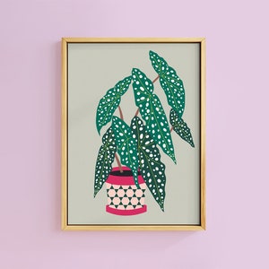 Bergonia Botanical House Pot Plant Art Print | Unframed A6 A5 A4 A3 A2 A1 | Boho Quirky Home Decor Poster Interior Tropical Leaves Graphic