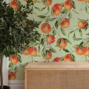 Amalfi Garten Citrus Orange Früchte Pistazie Wallpaper von Oh So Daisy | Wandkleister 10 Meter Rolle | Landhaus Floral Boho Mediterran