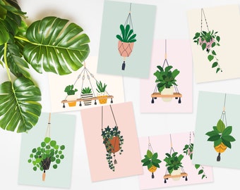 Set of 8 Botanical Hanging Plants Art Prints | Unframed A6 Art Postcard | Hanging Plants Houseplant Plant Macrame Envelopes Pack