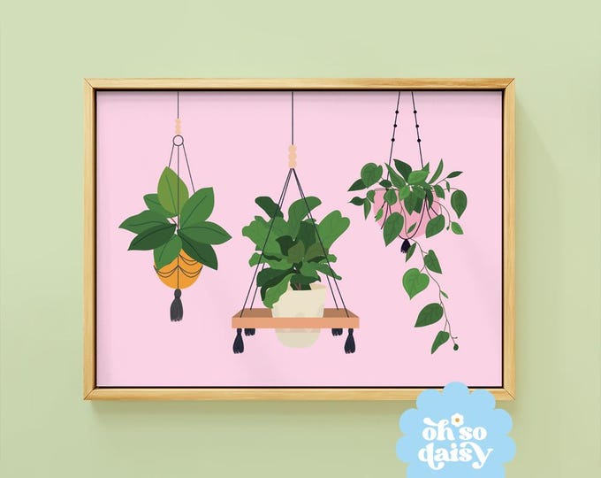 P.wllinckii Jenny #1(the Rarest Breed in the World) - Etsy