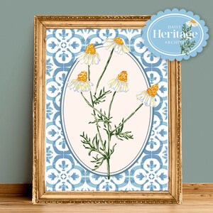 Estudo de margarida selvagem vintage em azulejo pintado | Sem moldura A6 A5 A4 A3 A2 A1 | Galeria Heritage Cottagecore Boho Garden Nature