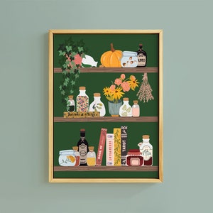 Apotheker Hexe Tränke Zauber Regal Bücher Kunstdruck | Ungerahmt A6 A5 A4 A3 A2 A1 | Wandposter Cottagecore Kürbis Halloween