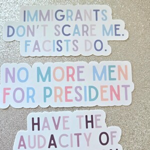 Presidential Stickers, Anti-Facist Govenment, Diversity Equality Inclusion Rights, Liberal Stickers, political activism gifts, Meme Gifts