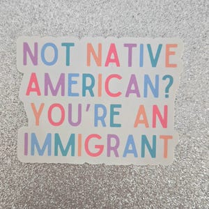Diversity Stickers, Immigrant Pride Stickers, Diversity Equality Inclusion Rights, Liberal Stickers, Anti-Facist, political activism gifts