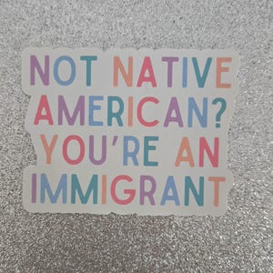 Diversity Stickers, Immigrant Pride Stickers, Diversity Equality Inclusion Rights, Liberal Stickers, Anti-Facist, political activism gifts