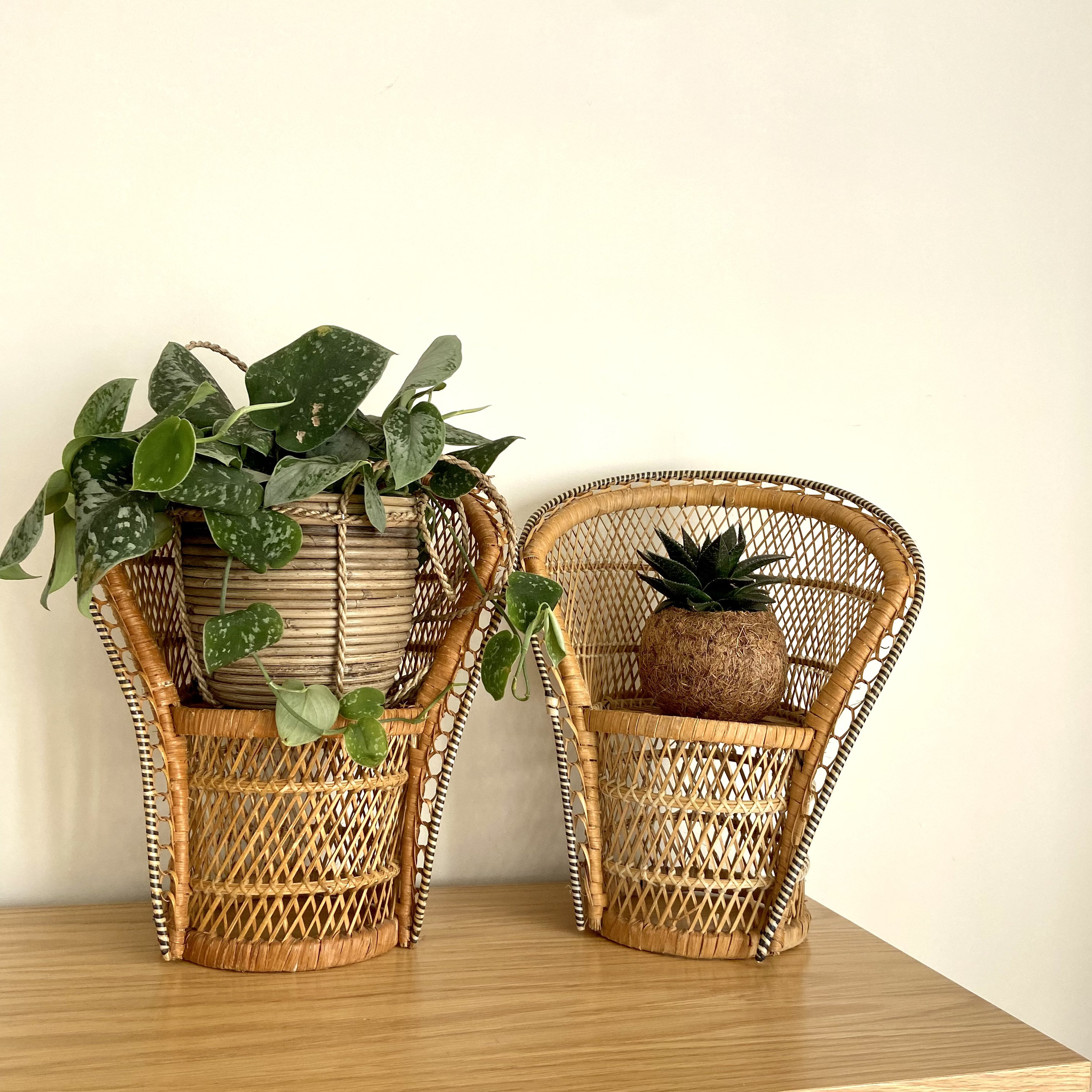 11+ Wicker Flower Chair