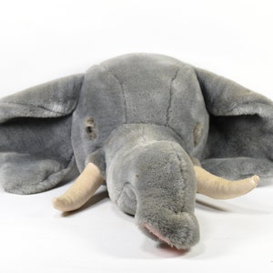 The Westcliff Collection Elephant Head