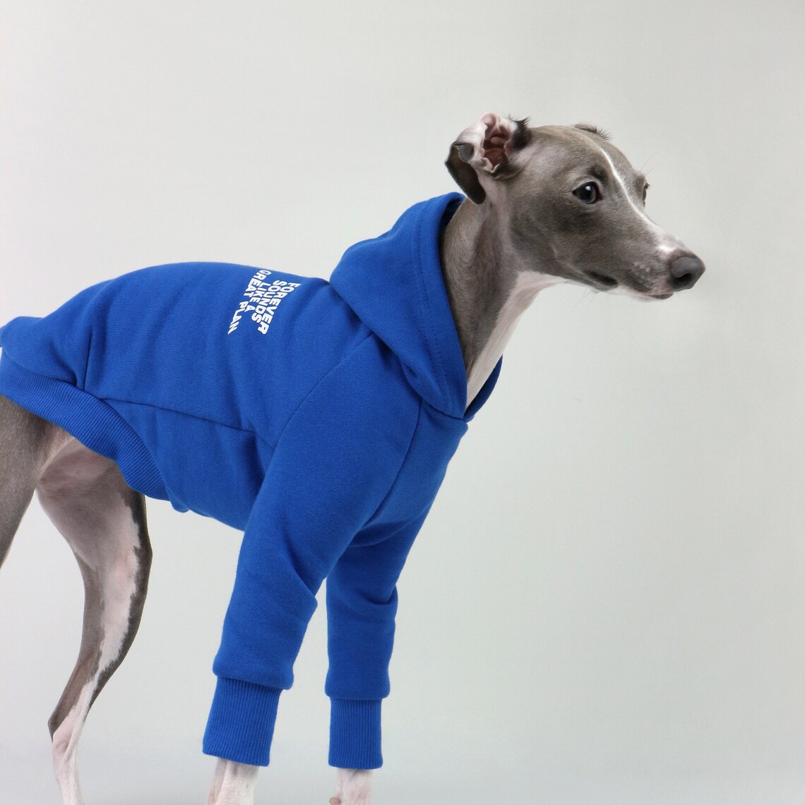 Hipaw Hoodie for Italian greyhound blue Etsy