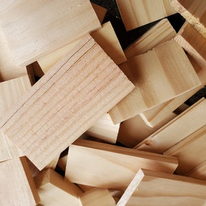 Mini Wood Pieces, for Signs, Crafting, or Painting, Tiny Wood Cuts, Bulk Wood Blanks, Scrap wood, Small Craft Wood, Unstained Raw Wood