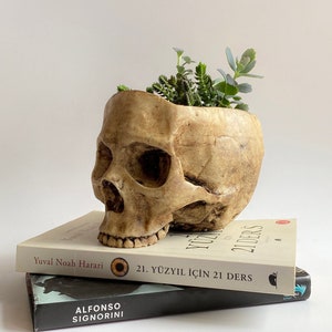 Skull Pot, Skull Succulent Planter, Gothic Home Decor, Goth Garden Accessory, Witchy Plant Pot, Skull Makeup Brush Holder