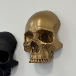 Skull Wall Mounted, Gothic Gallery Wall Skull