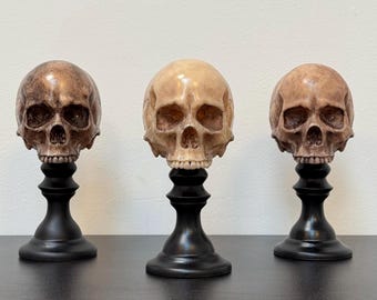 Skull Plinth, Middle Size Skull, Dark Home Aesthetic Decoration, Macabre Halloween Gift, Gothic Home Decor, Table Top Decor