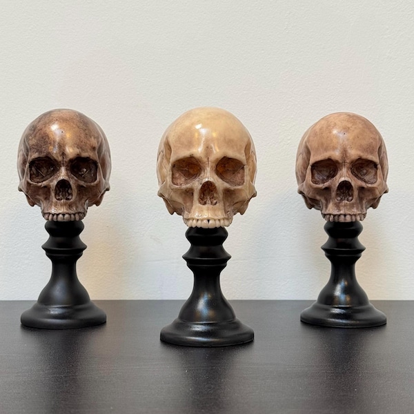 Skull Plinth, Middle Size Skull, Dark Home Aesthetic Decoration, Macabre Halloween Gift, Gothic Home Decor, Table Top Decor