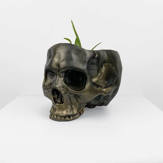 Jardinière Tête De Mort Zankie Avec Support Colonne Vertébrale - Décor Gothique Halloween - Résine 15x15x30cm