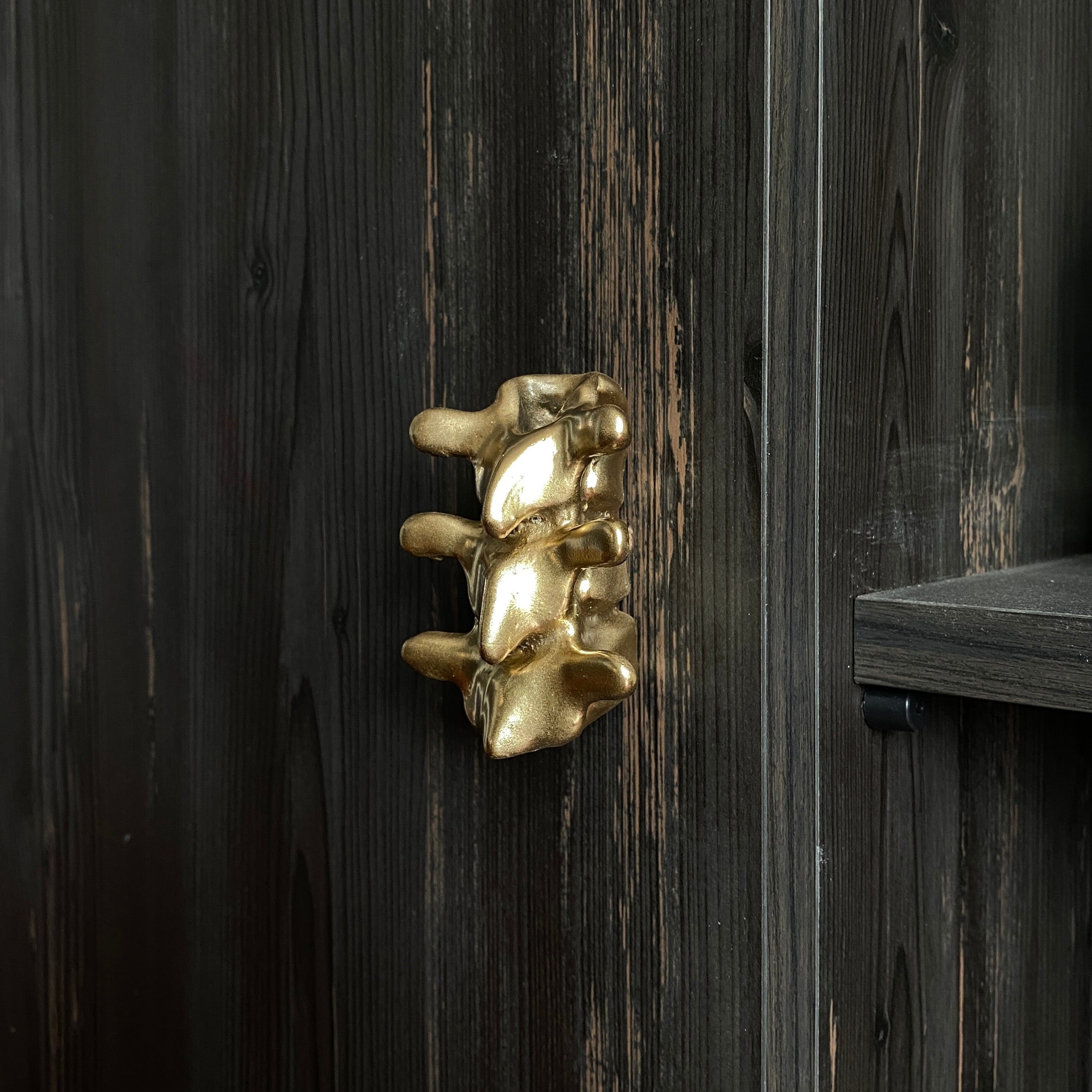 Spine Cabinet Wardrobe Door Knobs, Modern Drawer Knob Handles, Skeleton Furniture Knobs, Kitchen Door Knobs, Gothic Cupboard Door Knobs