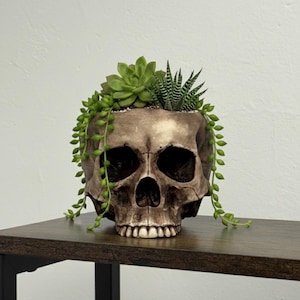 Maceta de calavera, maceta para suculentas con forma de calavera, decoración gótica para el hogar, accesorio gótico para jardín, maceta de bruja, soporte para brochas de maquillaje con forma de calavera