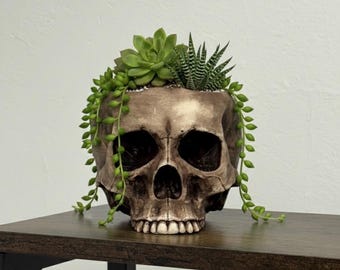 Maceta de calavera, maceta para suculentas con forma de calavera, decoración gótica para el hogar, accesorio gótico para jardín, maceta de bruja, soporte para brochas de maquillaje con forma de calavera