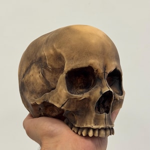 Full Size Realistic Anatomical Gothic Skull, Dark Home Aesthetic Decoration, Macabre Halloween Gift