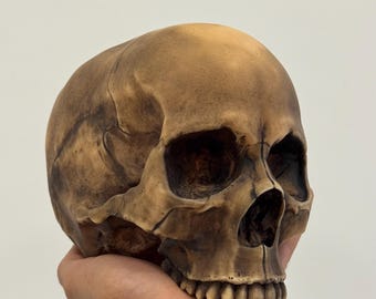 Caveira gótica anatômica realista em tamanho real, decoração estética para casa escura, presente macabro de Halloween