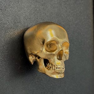 Gold Skull Drawer Pull – Gothic Cabinet Knob, Skeleton Hardware, Halloween Decor, Dark Academia Furniture Handle