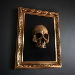 Filigree Frame Skull Gallery Wall Art, Gold Framed Skull, 3D Realistic Skull, Oddities Decor, Curiosity Wall Art, Gothic Home Decor