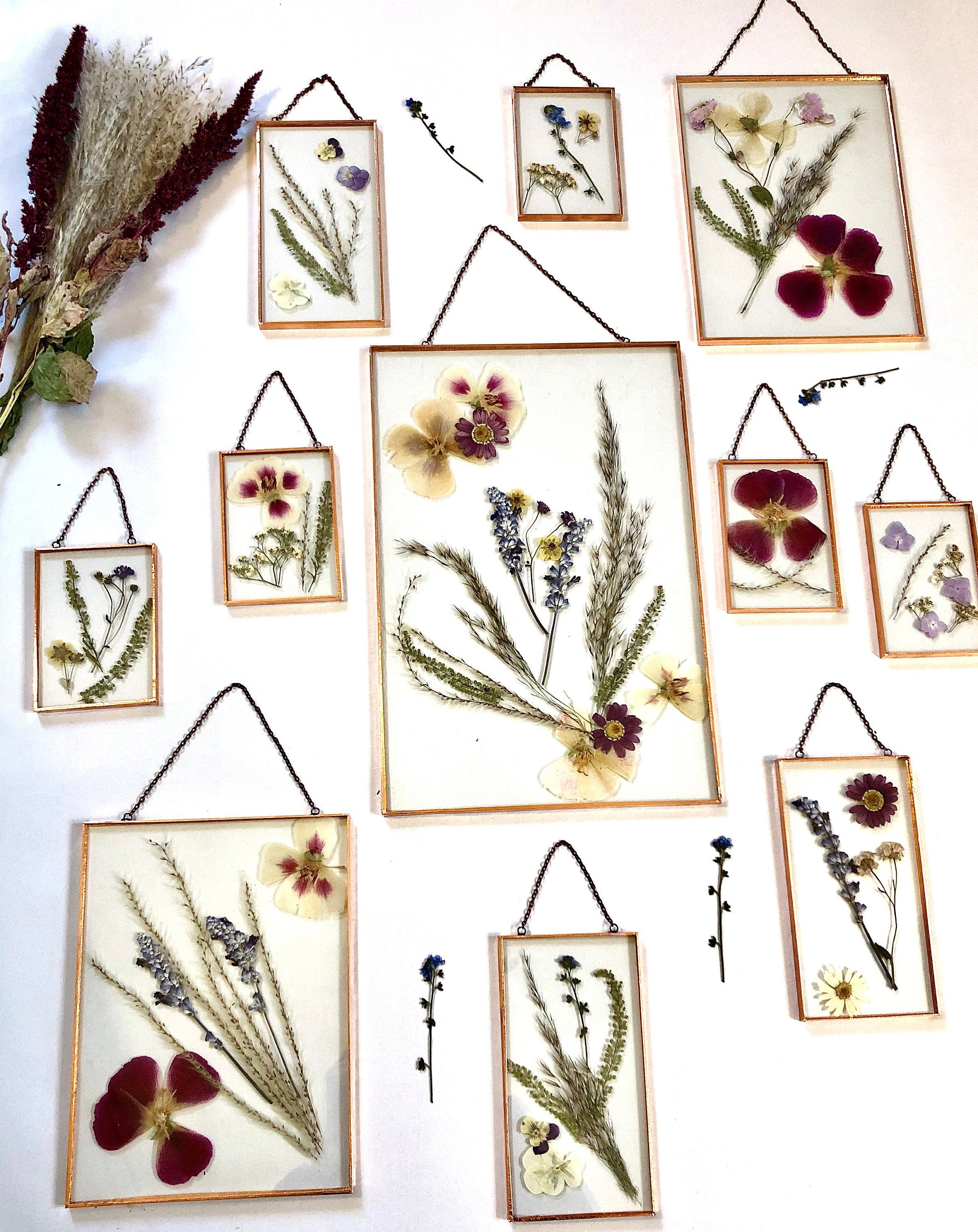 Fleurs Pressées Cadre Photo Herbarium Fleurs Séchées en Verre et Cuivre avec Chaîne Décoration Mural
