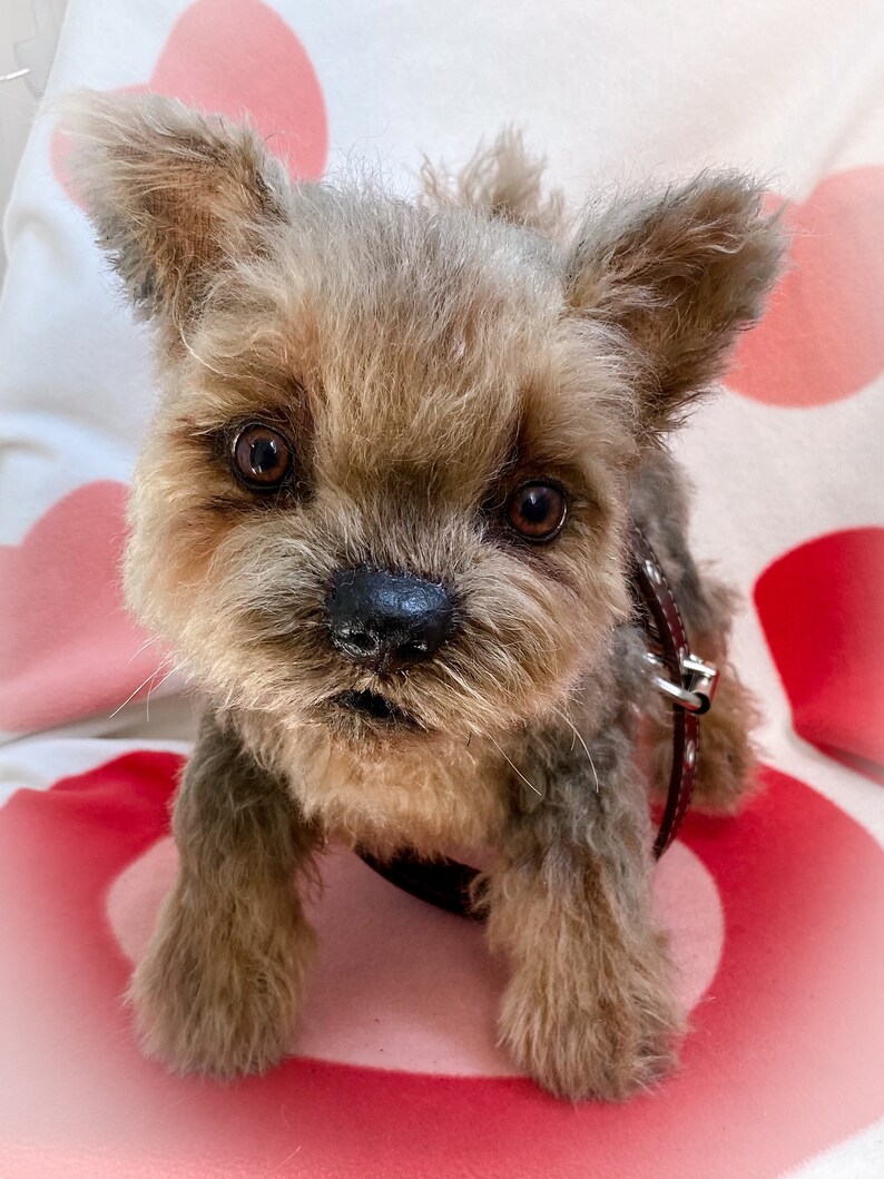 Small yorkie dog Realistic stuffed puppy toy Replica pet Etsy