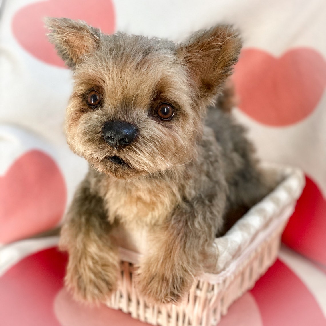 Small yorkie dog Realistic stuffed puppy toy Replica pet Etsy