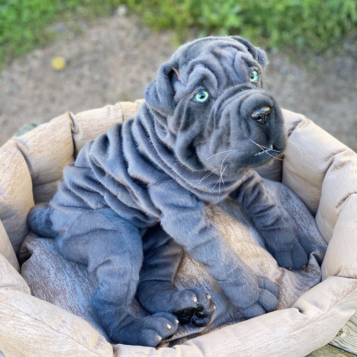 Blue Shar Pei Realistic stuffed animals toy Replica pet Etsy