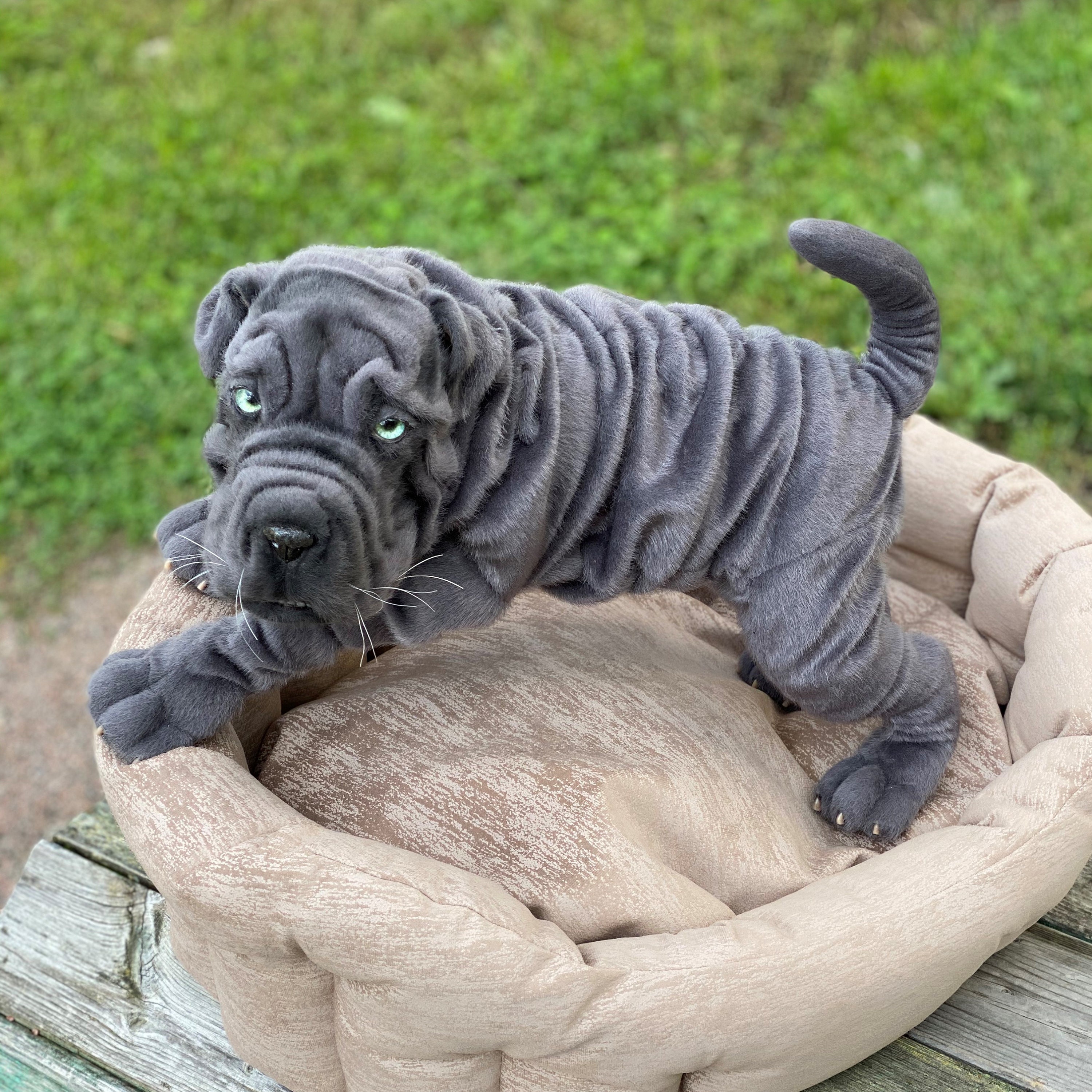 Blue Shar Pei Realistic stuffed animals toy Replica pet Etsy