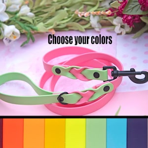 Custom Double Braided BioThane® Leash 3/4'' Wide-Choose Color Length and Hardware