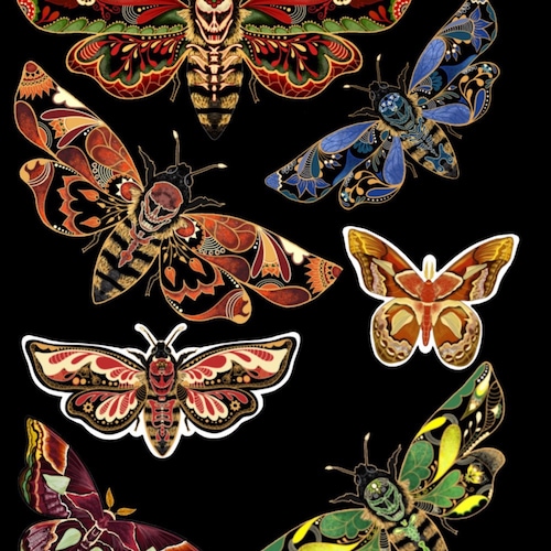 Set di 4 sottobicchieri vintage a forma di fungo – Sottobicchieri in pietra naturale con illustrazioni botaniche di funghi - Italia