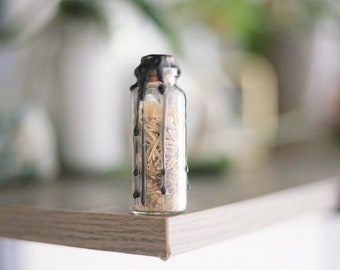 Protection Spell Jar Kit + Protection Spell Jar Kit + Spell