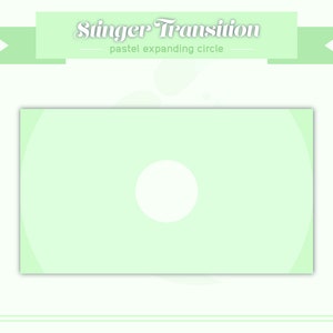 Stinger Transition - Pastel Groen Circulair Minimalistisch