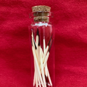 May include: A glass bottle with a cork stopper filled with white and black feathers.