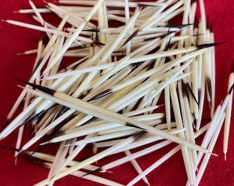 Large Porcupine Quills