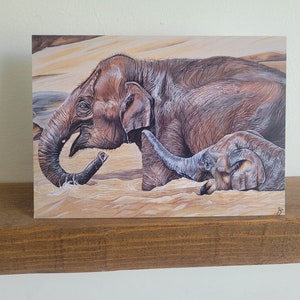 Carte de voeux éléphants d'Asie, carte d'anniversaire, carte pour les amateurs d'éléphants, intérieur vierge, carte animal, toutes les occasions, obsédé par les éléphants