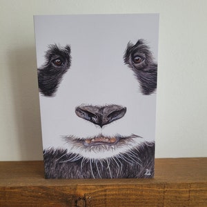 Carte de voeux panda géant, carte panda, carte d'anniversaire, carte pour fans de panda, carte intérieure vierge, carte animal, panda mignon, panda obsédé