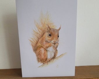 Eichhörnchen-Grußkarte, Eichhörnchen-Grußkarte, Geburtstagskarte, Karte für Eichhörnchen-Fans, innen blanko, Tierkarte, britische Tierkarte