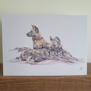 Carte de voeux chiens sauvages d'Afrique, carte chien sauvage, carte d'anniversaire, carte pour les amoureux des chiens, carte intérieure vierge, carte animal, carte pour toute occasion